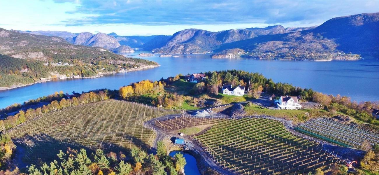 Hjelmeland forsidebilde Trond Helgøy