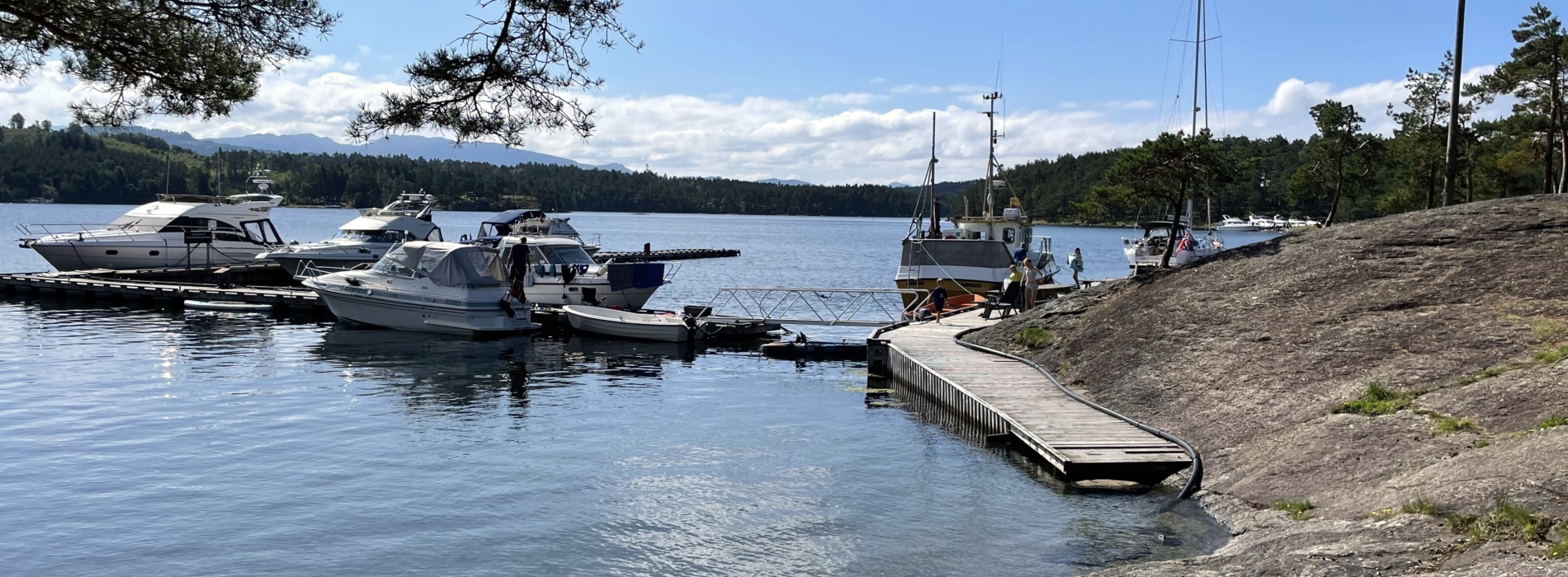 Furutangen ved havna