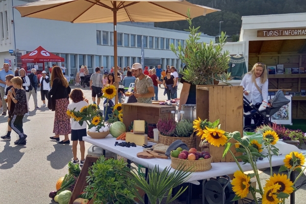 Arrangement & kultur