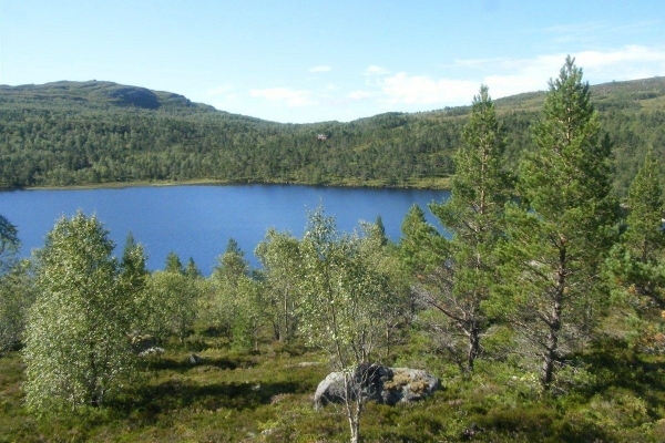 Hyttetomter på Bjødnabu med flott turterreng sommer og vinter, Hjelmeland